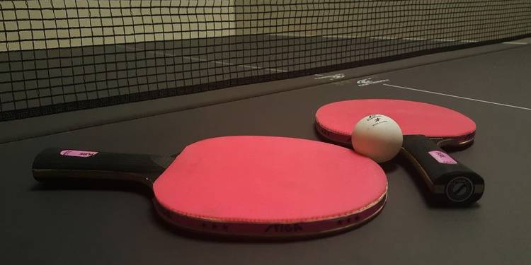 ping pong 2021 03 15 210050