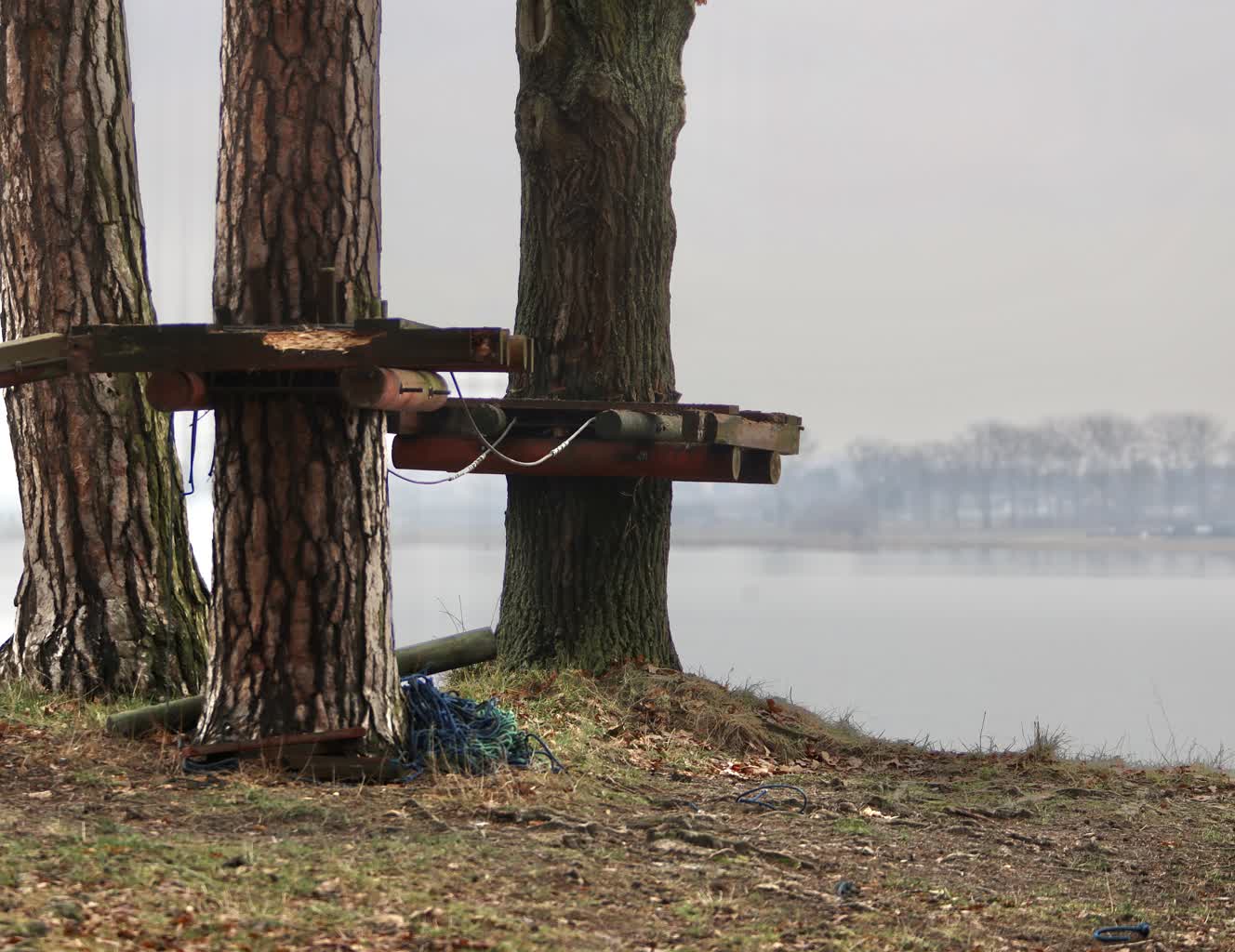 Klimatolog: musimy przyzwyczajać się, że "prawdziwe" zimy będą występować coraz rzadziej 2 1CE0E73C-3453-4AEA-81ED-C6855C6579EF.jpeg