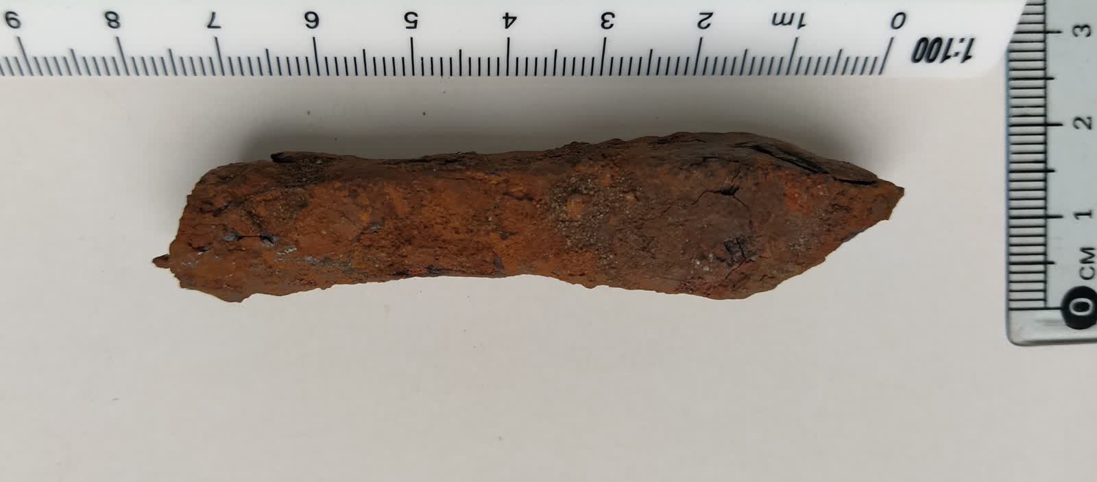 Na terenie Leśnictwa Tarnowola odnaleziono wczesnośredniowieczne militaria 2 327553356_524464853113759_5814947494271463138_n.jpg