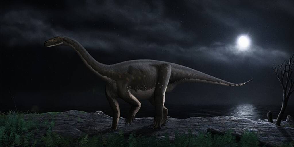 800px melanorosaurus readi steveoc 2023 01 31 090349