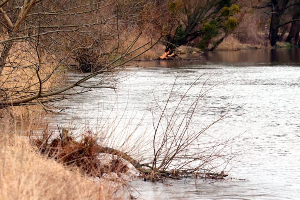 pm wieprz 220222 012 2023 01 28 104443