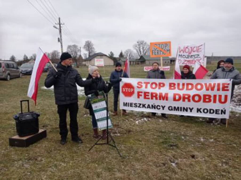 328566746 5380783508688473 6574742759884626850 n 2023 02 07 200840