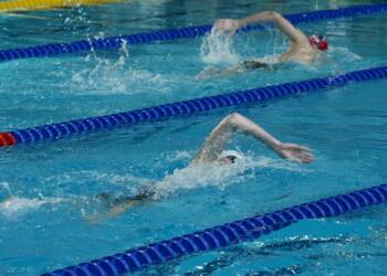 c482810c 42f6 4d3a 9403 20f64955946e 2023 02 25 170103 2023 02 26 201436