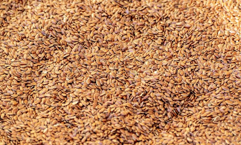 flax seeds ga1e59faea 1920 2023 02 20 114011