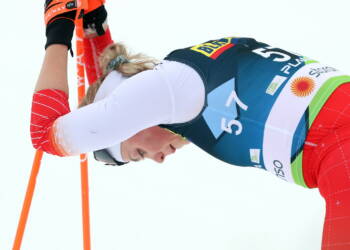 mid 23228235 2023 02 28 155600