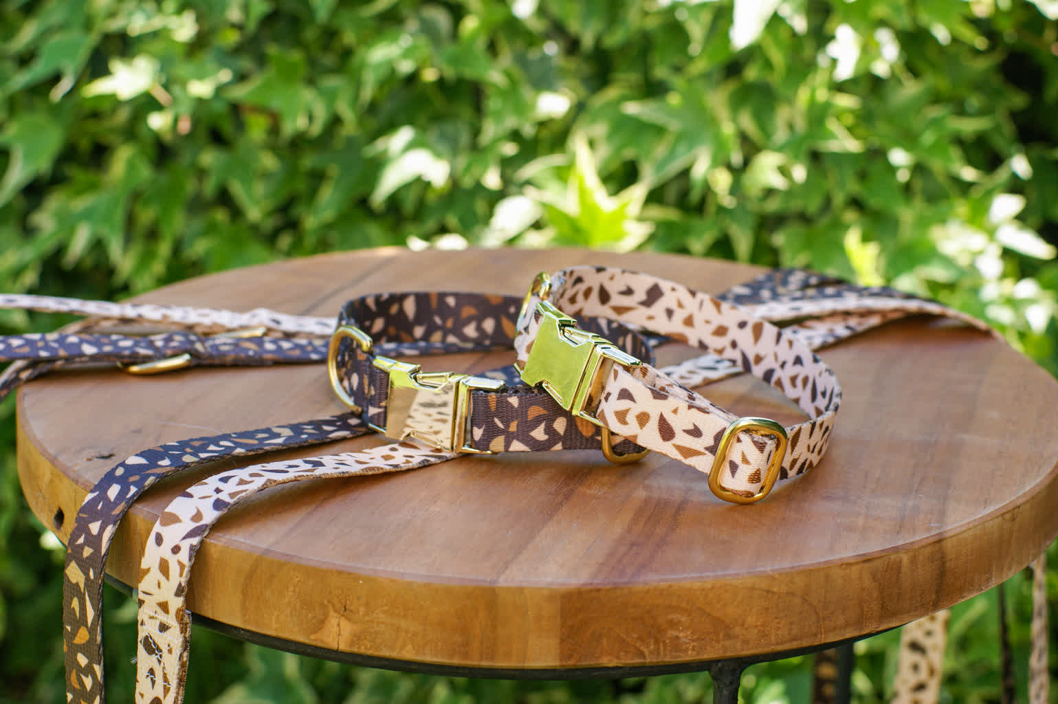 Jaka smycz dla psa jest najlepsza? 3 obroże dla psa