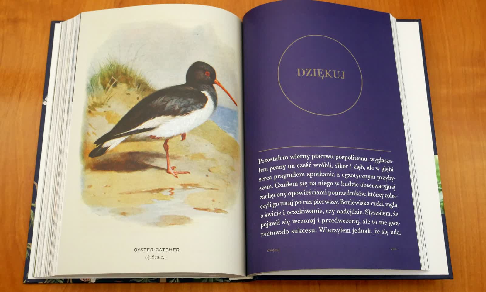 25.02.2023 Maria Brzezińska "Na skrzydłach" 2 P1080009.jpg