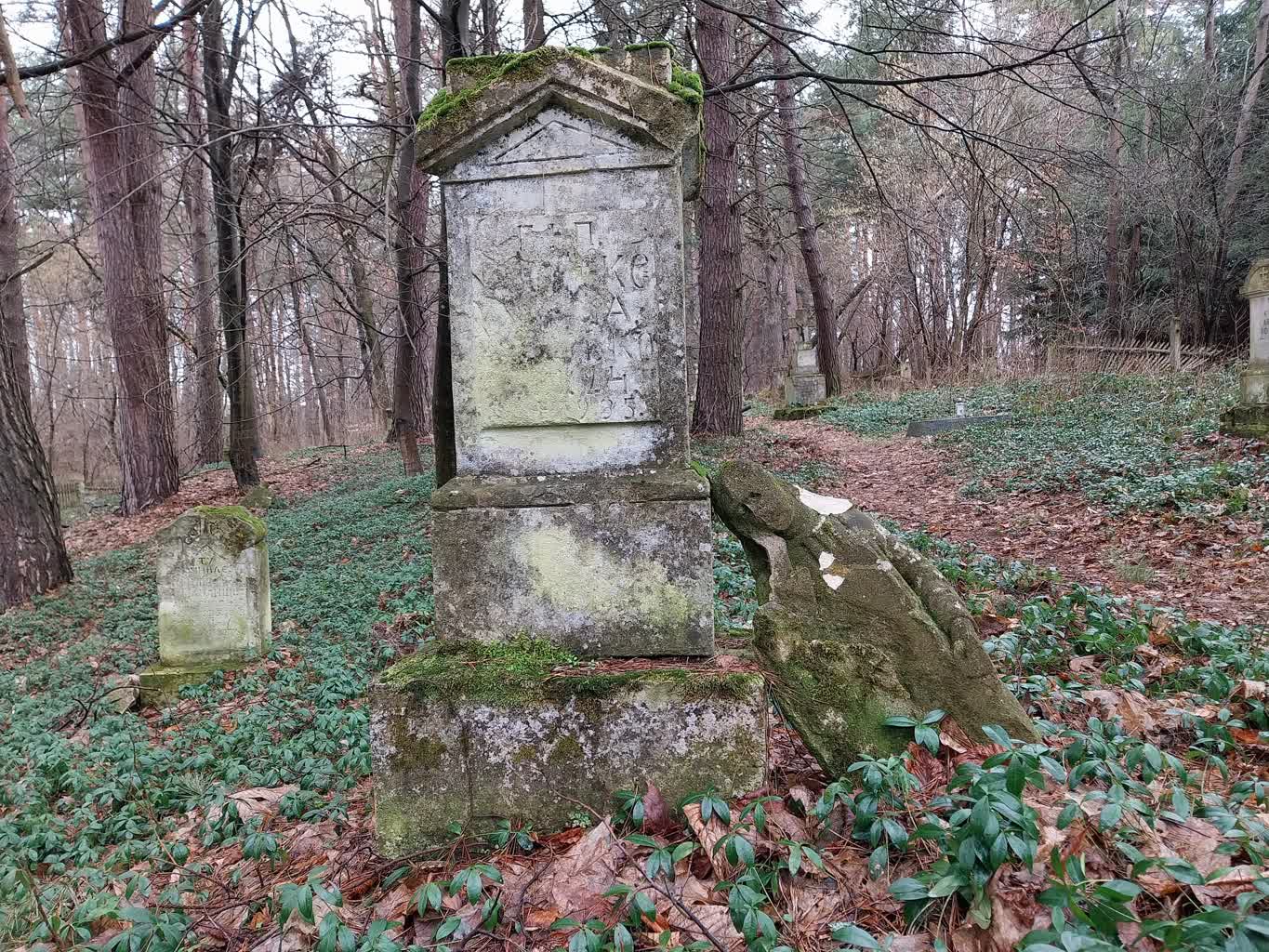 Stowarzyszenia z pogranicza sprzątają cmentarze. Wizyta w ruinach cerkwi, gdzie kręcono finał „Zimnej wojny” 4 20230311_101246.jpg