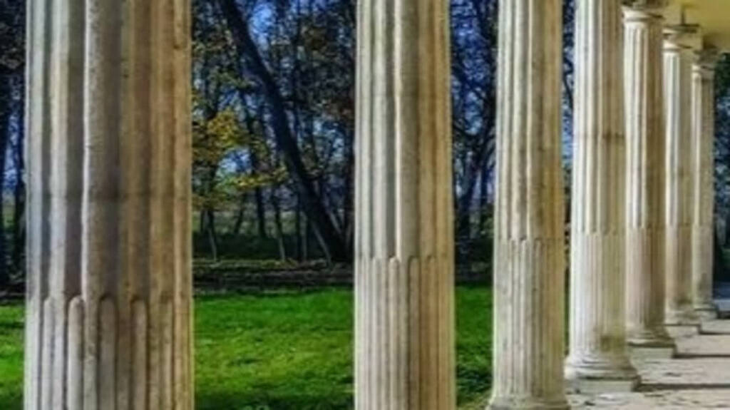 332239377 538945791674416 4940258217181722429 n 2023 03 14 125038