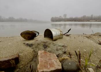 36ff7e8d 907f 4a32 9ce1 dd9f093fe51e 2023 03 09 180252