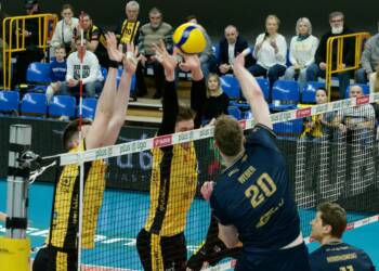 3d1778d8 cc49 4ba1 85c2 9c687bfc4509 2023 03 17 212601