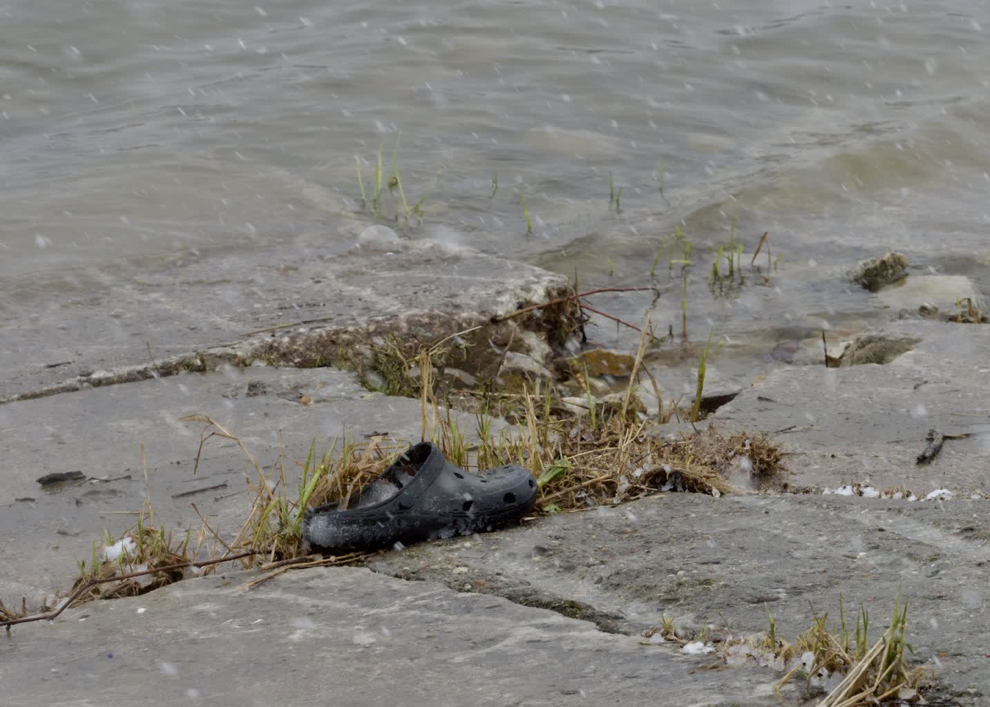Śmieci znikną znad Wisły. Czysta Rzeka w Puławach 2 586f7e66-360d-4e07-bbce-9a1b18105ebd-2023-03-09-180403.jpg