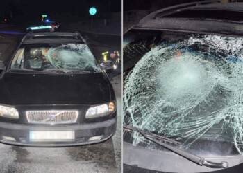 68 217825 g 2023 03 15 105729