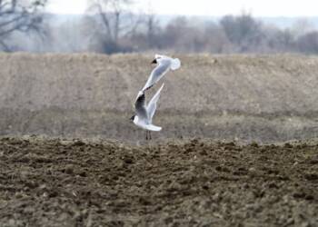 6a8b11fa 7f17 4cc7 9abe 22777f369783 2023 03 22 233752