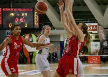 b0b07d5d 6403 493e 8f39 5d30e98f0e3d 2023 03 11 192313