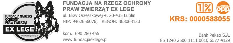 20.03.2023 Coś dobrego 2 c191e3d6.jpeg