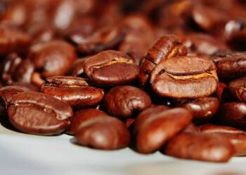 coffee beans g0b29f1e36 1920 2023 03 10 012224