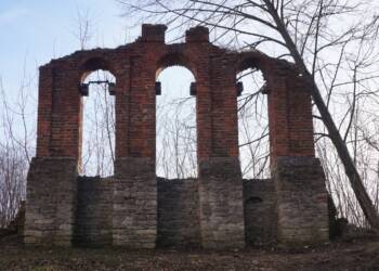 dsc01198 2023 03 13 091454