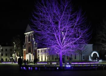 f47ecd11 995a 4218 85bf ed7b1d9403da 2023 03 27 074229