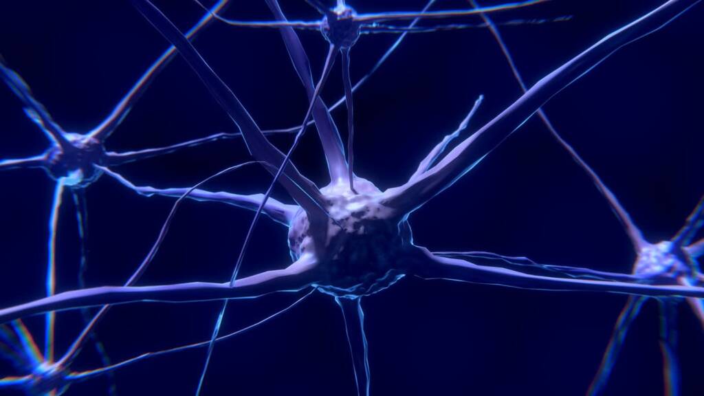 nerve cells gca6e963a1 1920 2023 03 14 081033