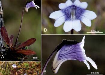 oo 829264 kopia 2023 03 29 170324