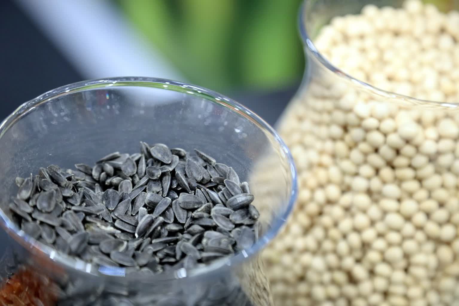 Rolnicy spotkali się w Lublinie. Trwają targi Agro-Park 2 pm_AGROPARK-040323-030.jpg