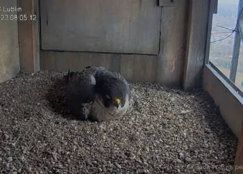 snapshot 2023 03 13 080651