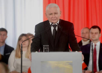 336647631 754827446021738 2665358671830155892 n 2023 04 22 133232