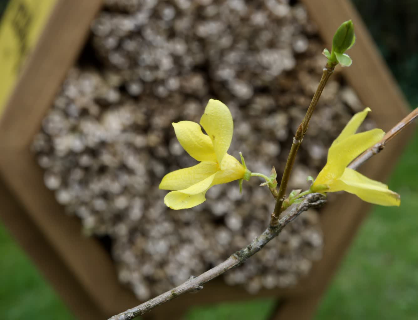 Przed nami słoneczny weekend. Na termometrach nawet 20 st. C 2 3bcc4350-3269-47f5-ae77-ce06bf34859f-2023-04-17-135914.jpg