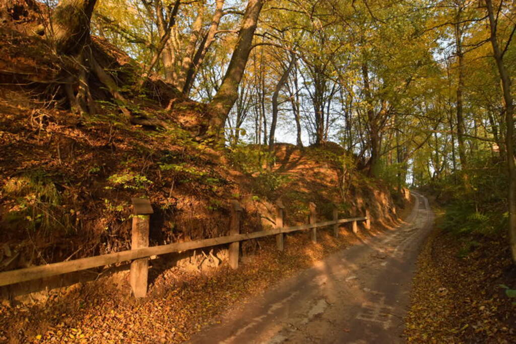 78ccf162e0af22df12784a4e5a960e73 2023 04 28 093240