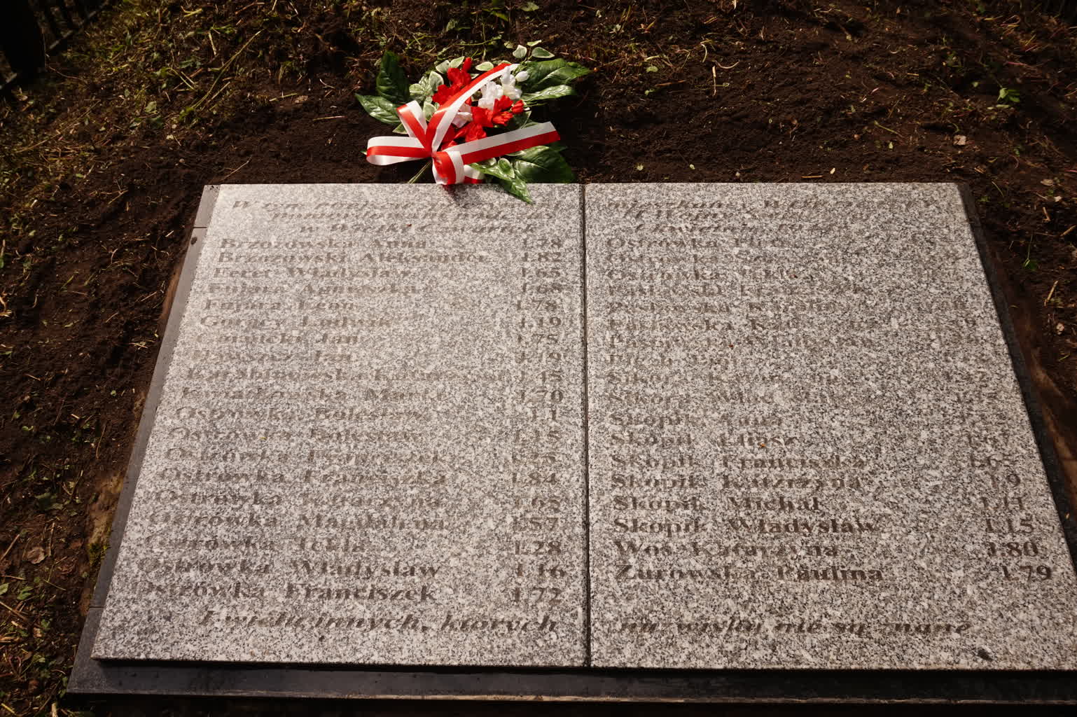 „Trzeba pamiętać o przodkach”. Akcja sprzątania mogił Polaków pomordowanych w 1944 roku przez UPA 2 DSC00820.JPG