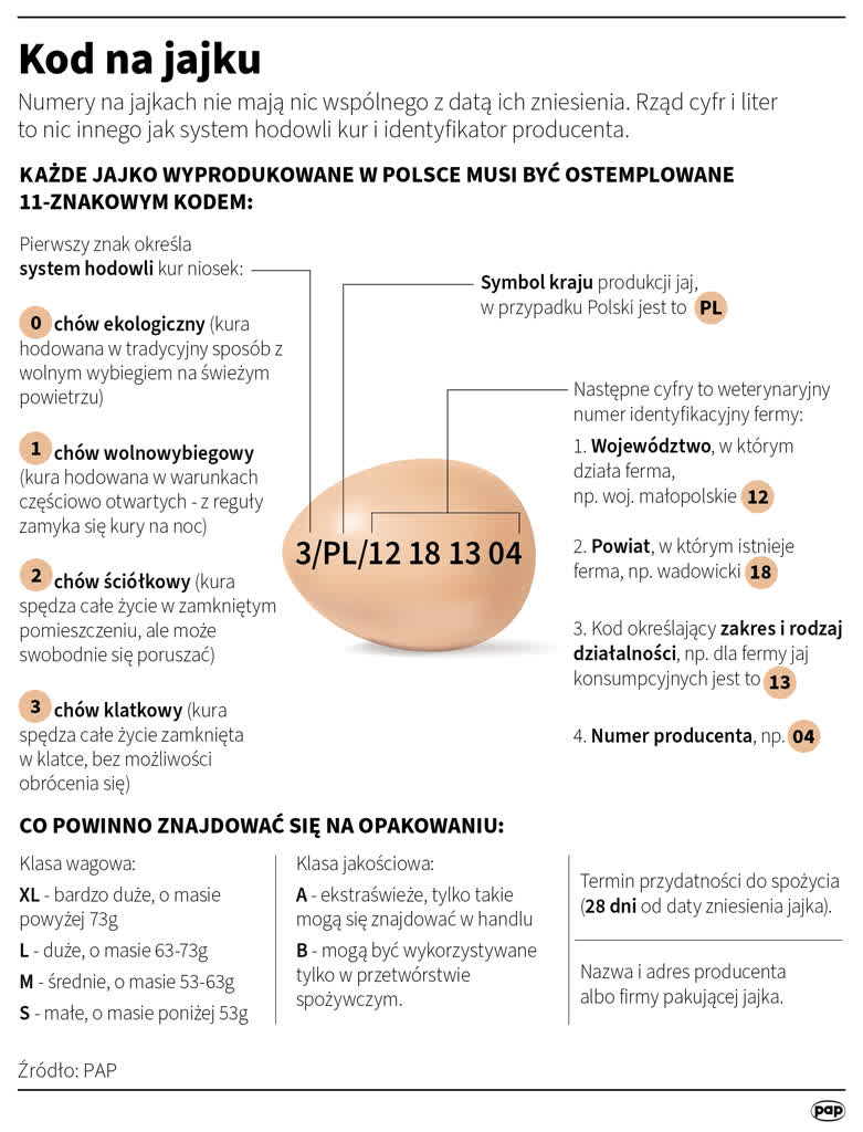 Żółtko jajka bardziej wartościowe od białka 3 igrafika_20230408_01.png