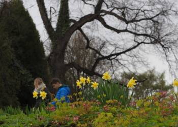 img 20220418 174848 2023 04 16 103159