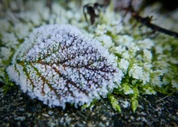 pexels richard fletcher 370922 2023 04 03 140615