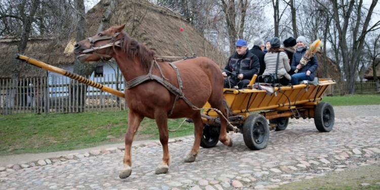 pm skansen 020423 012 2023 04 02 143727