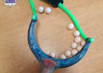 proca 2023 04 06 165320