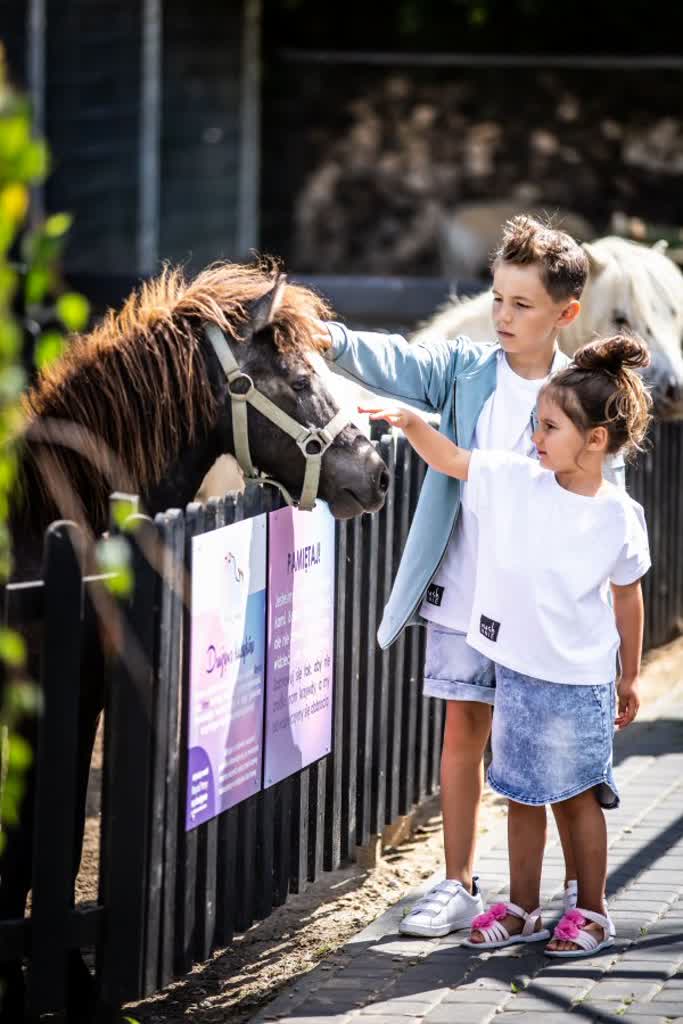 Koniec nudy! Zorganizuj rodzinne wakacje pełne atrakcji! 2 0357.jpg