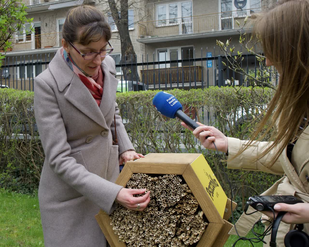Lubelskie: nieżądlące pszczoły będą się mogły zatrzymać w kolejnych hotelach 2 05595eff-3a1e-4f37-92e0-0bd156b54c65-2023-04-17-135917.jpg