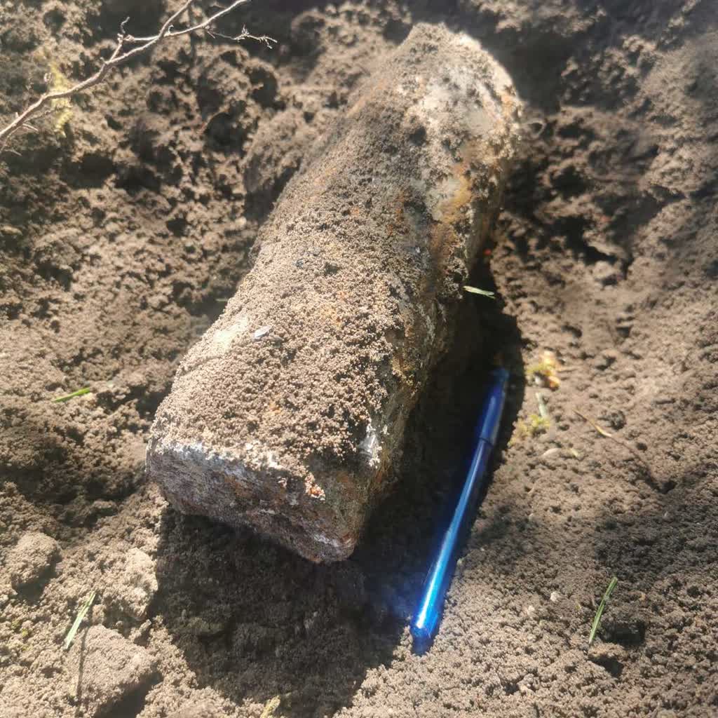 Znalazła niewybuch podczas prac w ogrodzie 2 353-220303.jpg