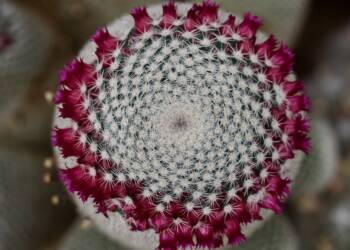 5dcc8a21 56a5 4610 819d da6e58ae4565 2023 05 27 154954