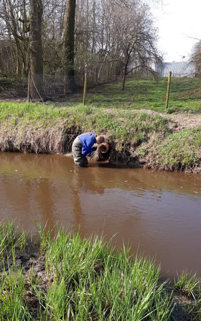 "To powinno być karane". Wody Polskie zamknęły kolejne nielegalne wyloty na rzekach 2 FwPTJ61XsAETZit.jpg