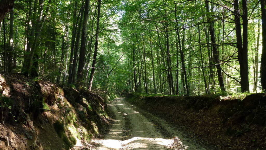 pl szczebrzeszyn landscape park 2023 05 26 124224