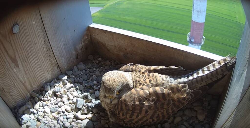 postulka 1 2023 05 13 183403