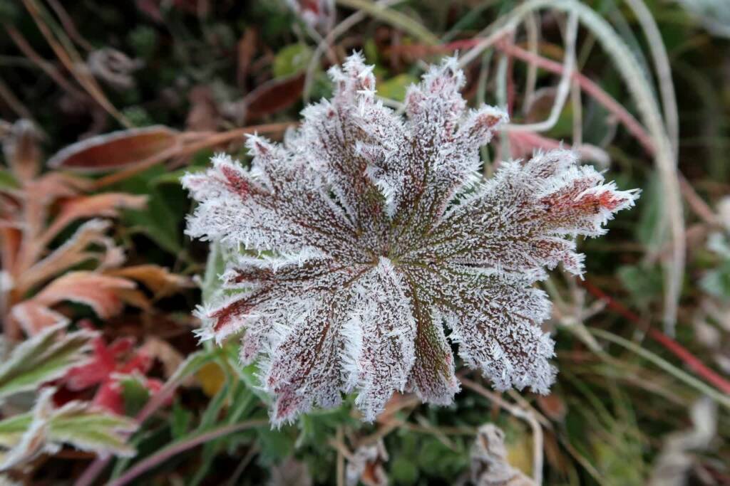 the first frost gc06e69abf 1920 2023 05 08 133427
