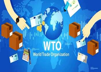 world trade organisation photo pixabay com 1172106 2023 05 02 141817