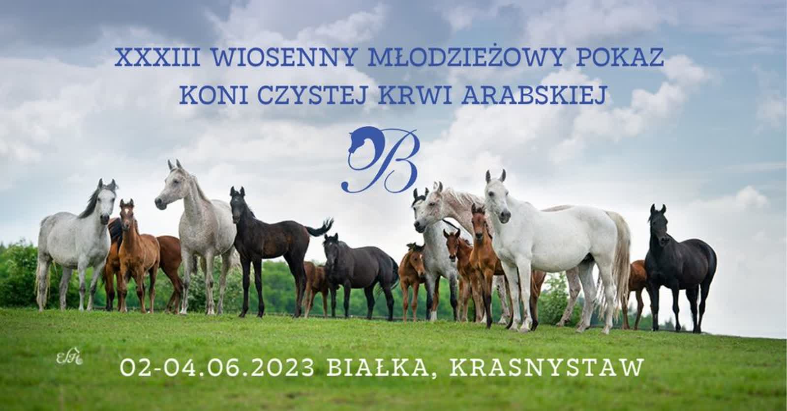 Pokaz koni arabskich w Białce 2 342798208_978251189833457_3415536991054288543_n.jpg