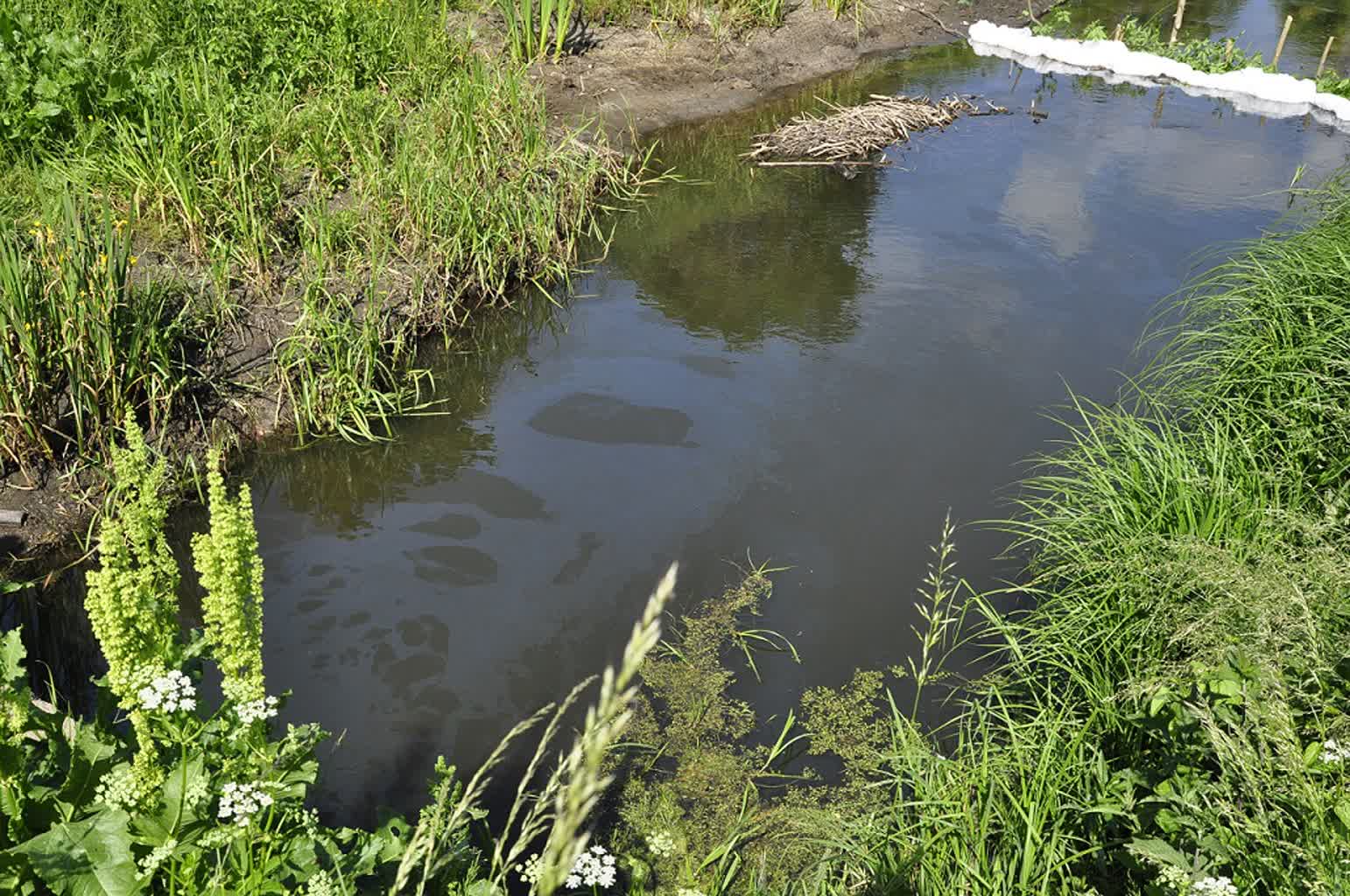 O włos od tragedii. Zamiast zutylizować, wlali do kanału 2 343-222264.jpg