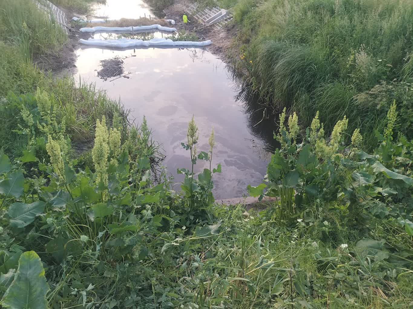 O włos od tragedii. Zamiast zutylizować, wlali do kanału 3 343-222265.jpg