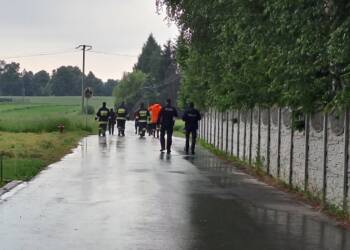 348 222478 2023 06 16 091418