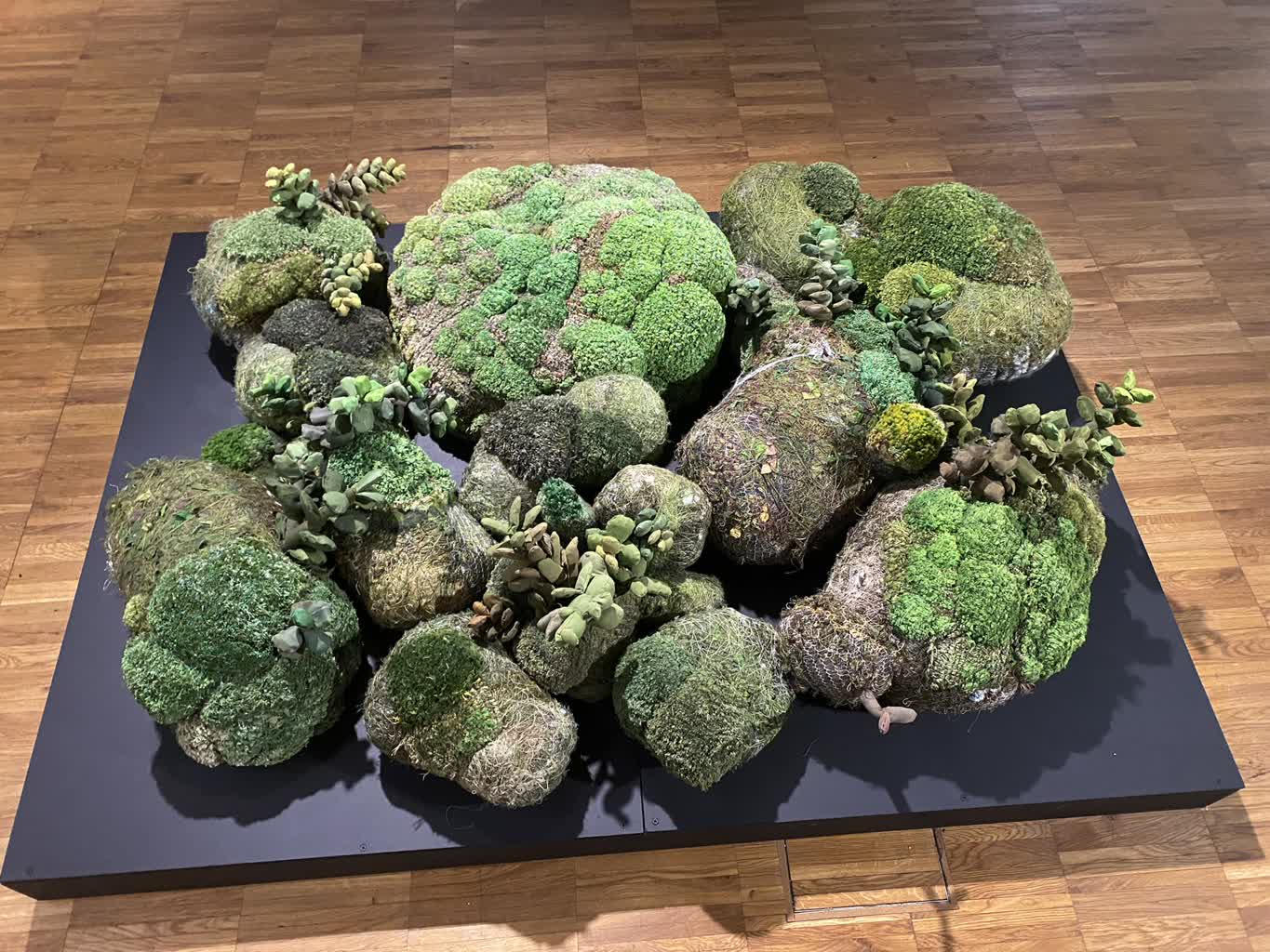 „Dotyk Sztuki". Wyjątkowa wystawa w Lublinie 2 348358960_273398105313662_5129881101836013132_n (1) — kopia.jpg